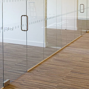 Glass Partitions