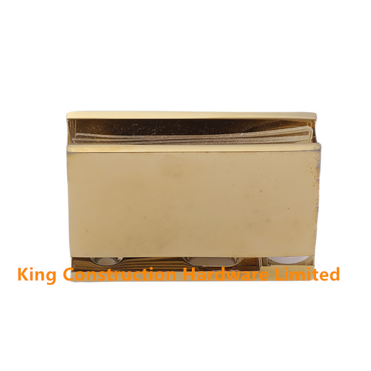 Inset Glass Door Hinges